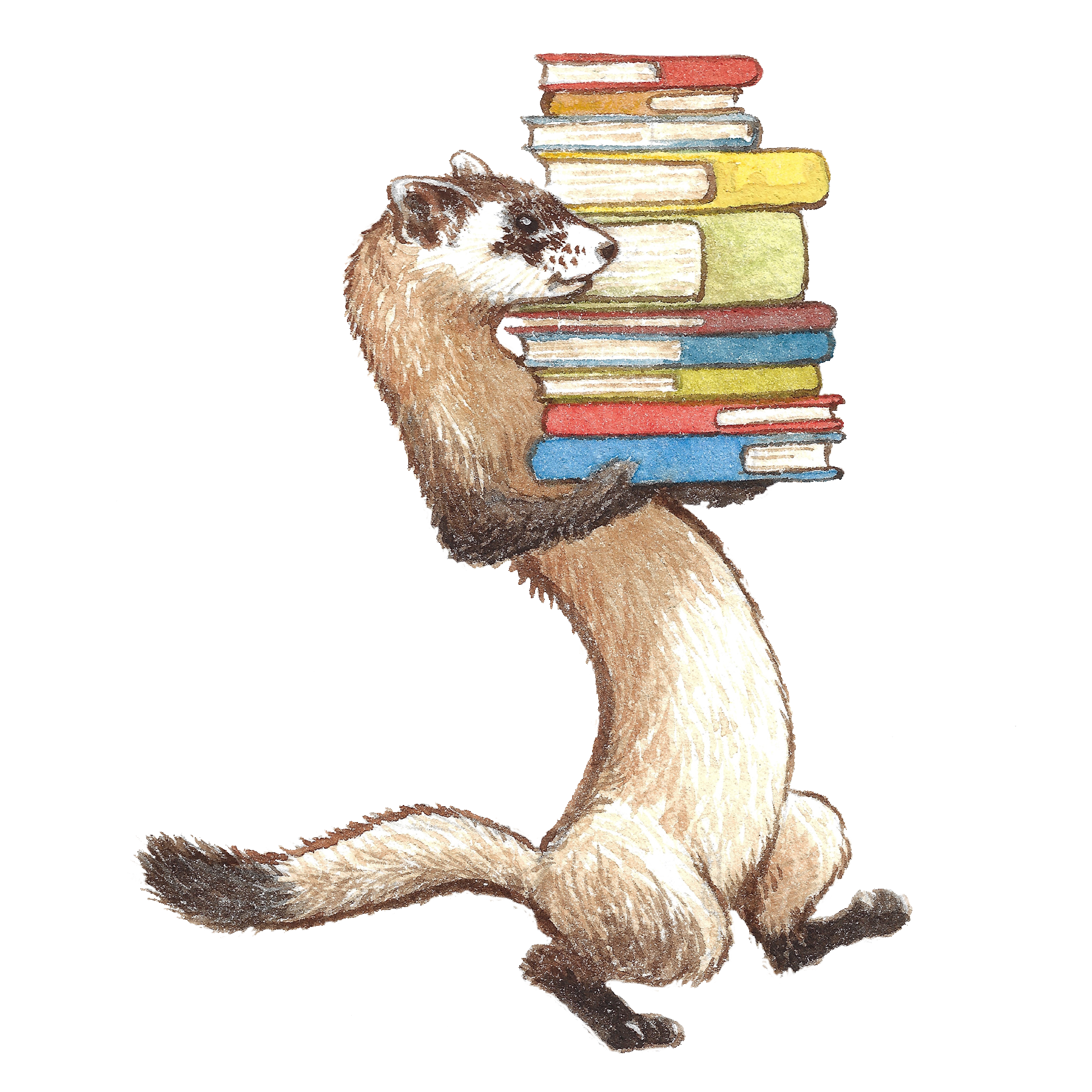 Black-Footed Ferret with Books