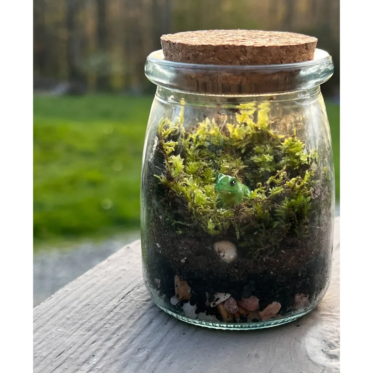 A miniature terrarium containing rocks, moss, and a small fake frog, sealed with a cork lid.